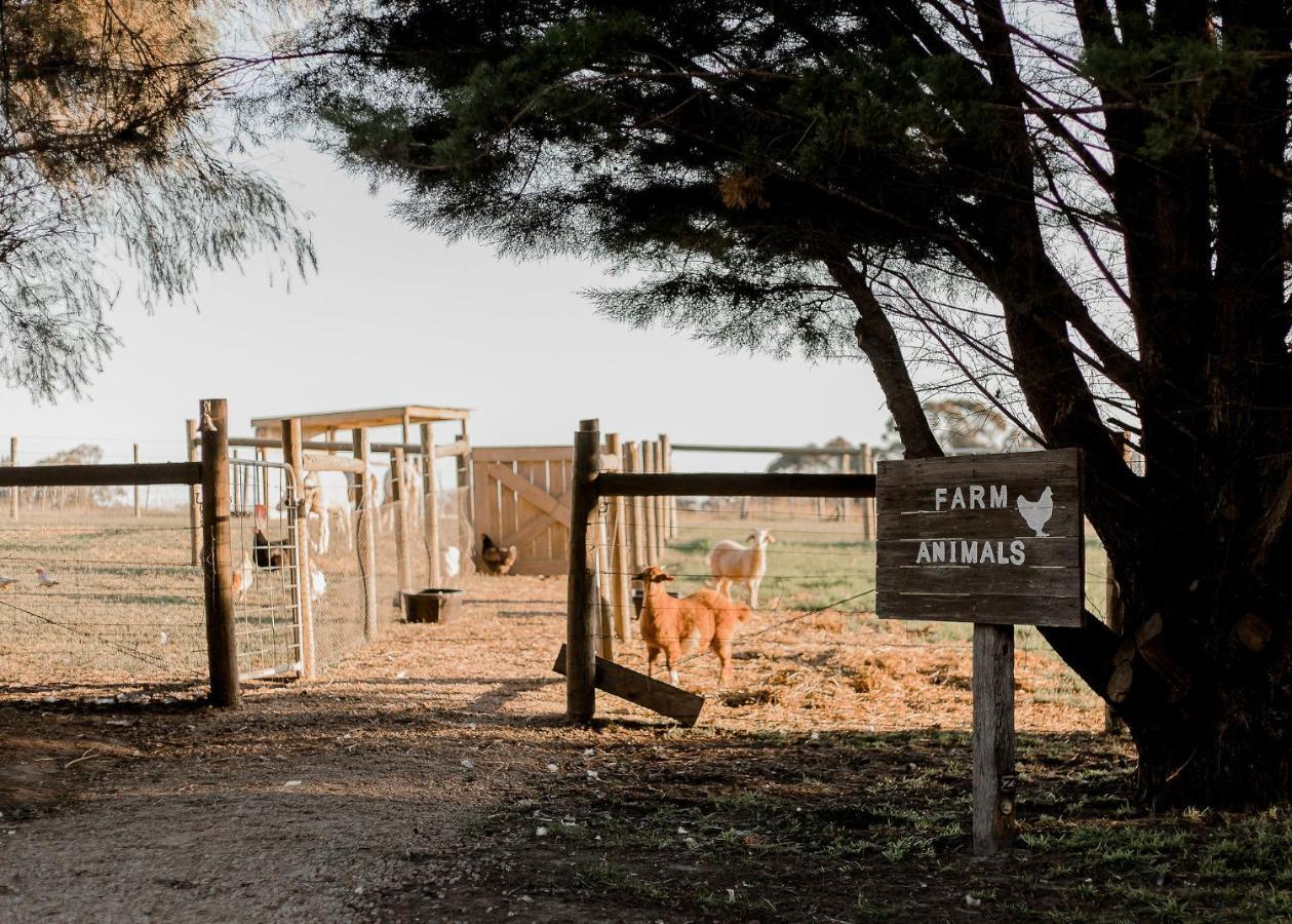 Eight Acres Лейкс-Энтранс Экстерьер фото